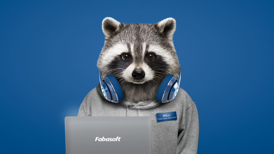 Raccoon Willi with laptop